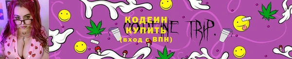 стафф Бородино