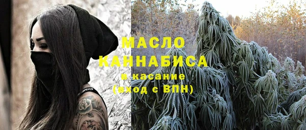 дживик Бронницы