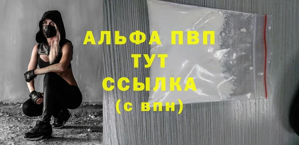 стафф Бородино