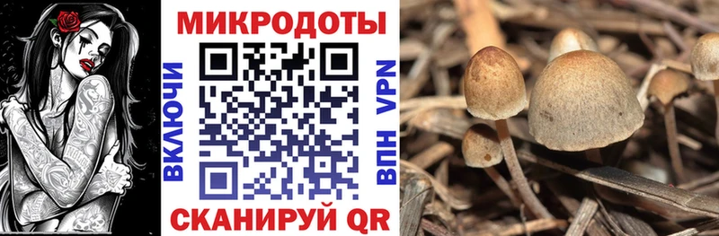 Купить где  Павловск  Галлюциногенные грибы мицелий 
